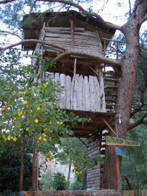 Bayrams Tree Houses Olympos Room photo