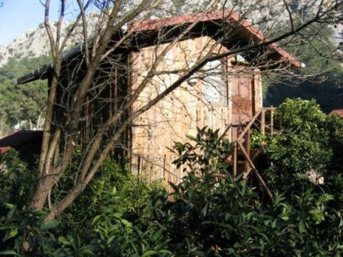 Bayrams Tree Houses Olympos Room photo